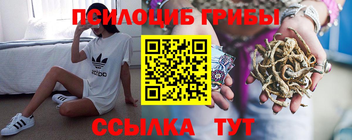 Псилоцибиновые грибы мицелий  Вход с VPN  где найти наркотики  Белореченск 